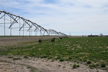 13955 Lanewood St, Brighton, CO 80603