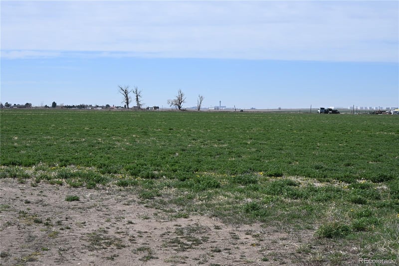 13955 Lanewood St, Brighton, CO 80603