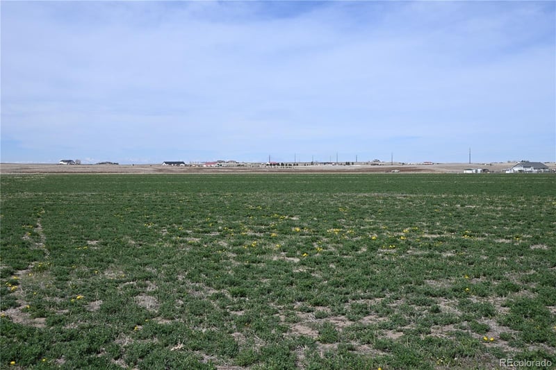 13955 Lanewood St, Brighton, CO 80603