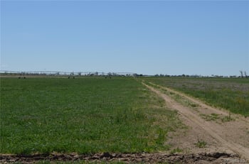 13955 Lanewood St, Brighton, CO 80603