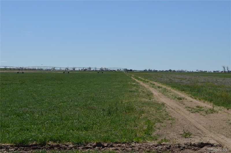 13955 Lanewood St, Brighton, CO 80603