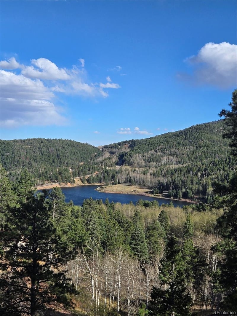 161 Highland Cir, Rye, CO 81069