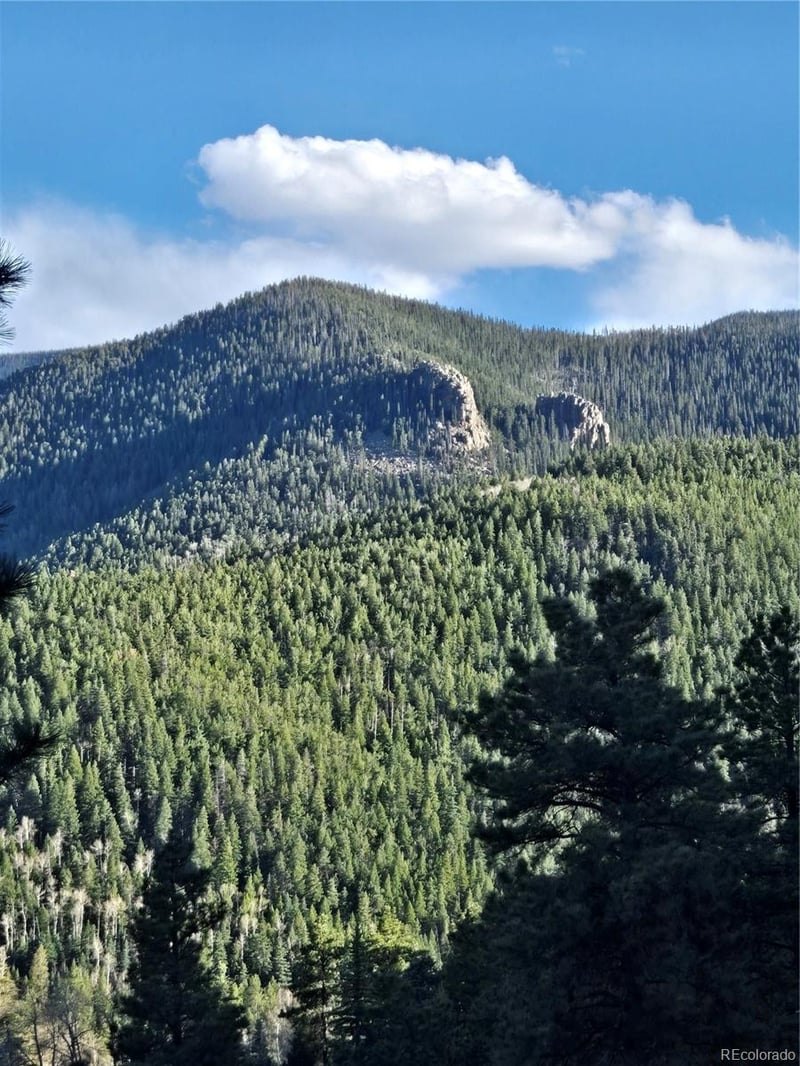 161 Highland Cir, Rye, CO 81069