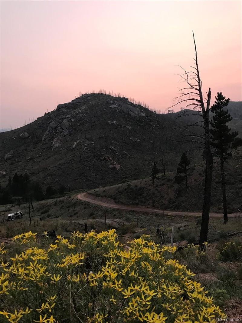 16280 Cochise Trl, Pine, CO 80470