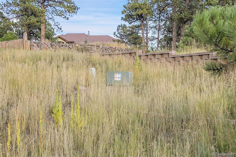 2317 Wieler Rd, Evergreen, CO 80439
