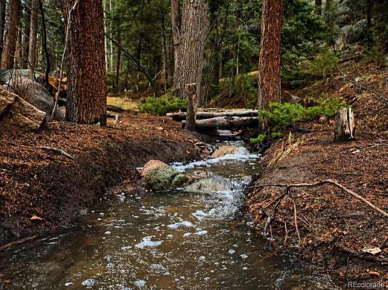 30955 Walter Dr, Conifer, CO 80433