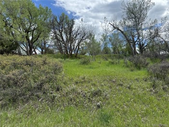 Ryus , La Veta, CO 81055