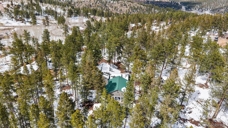 82 Iris Dr, Bailey, CO 80421