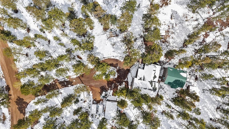 82 Iris Dr, Bailey, CO 80421
