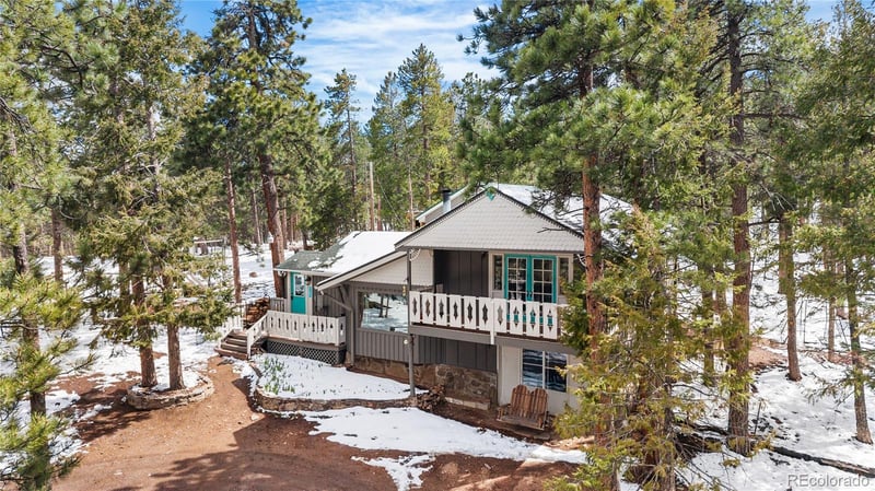 82 Iris Dr, Bailey, CO 80421
