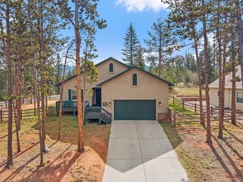 1101 Ptarmigan Dr, Woodland Park, CO 80863
