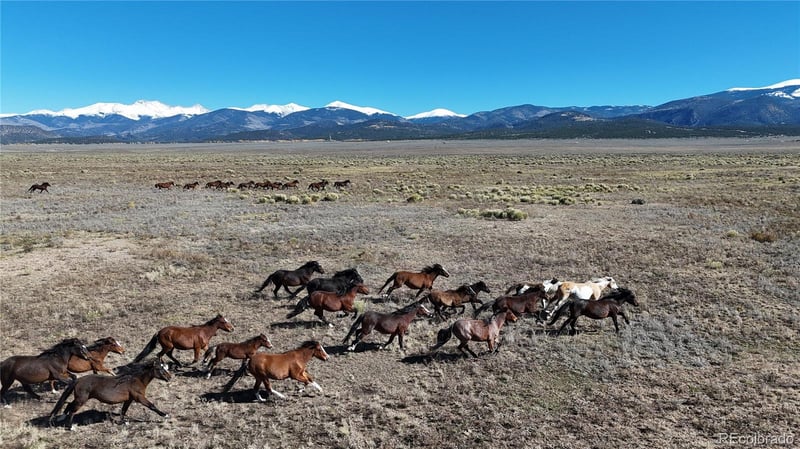 111 Tierra Blanca Ln, San Luis, CO 81152