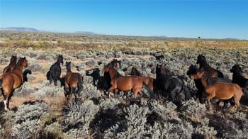 111 Tierra Blanca Ln, San Luis, CO 81152