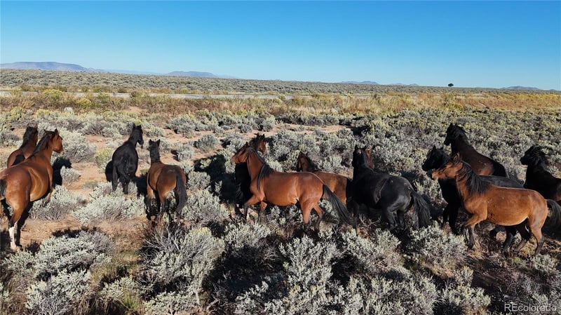 111 Tierra Blanca Ln, San Luis, CO 81152