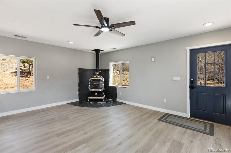 61 Garnet Ln, Lake George, CO 80827