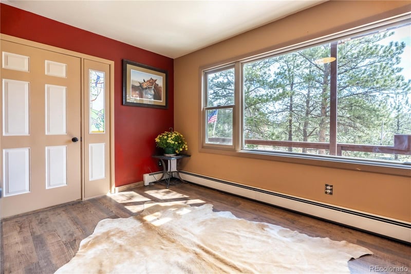 43 Doe Cir, Bailey, CO 80421
