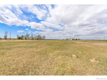 26942 County Road 62 1/2 Rd, Greeley, CO 80631