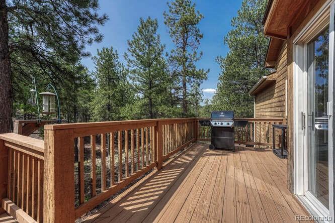14694 Crooked Trail Rd, Woodland Park, CO 80863