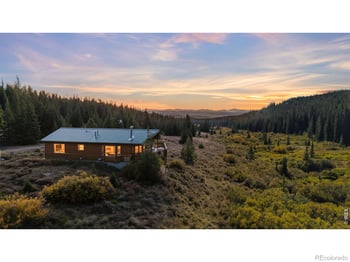 162 S Silk Sisters Pl, Fairplay, CO 80440