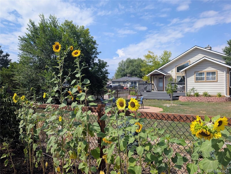 221 Jay St, Lakewood, CO 80226