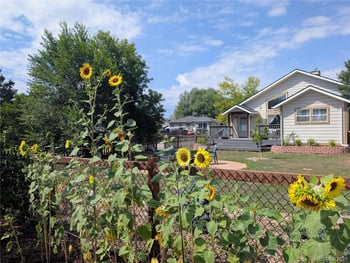 221 Jay St, Lakewood, CO 80226