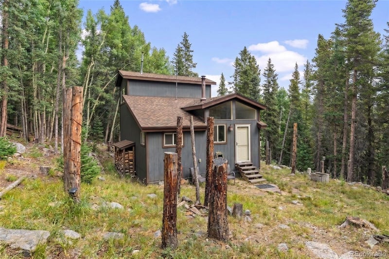 388 Saw Mill Ln, Idaho Springs, CO 80452