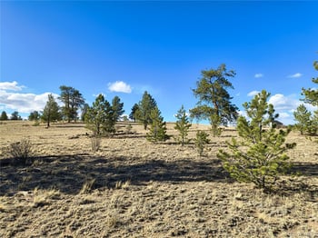415 Olympic Cir, Hartsel, CO 80449