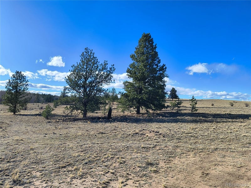 415 Olympic Cir, Hartsel, CO 80449