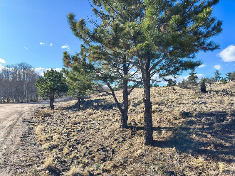 415 Olympic Cir, Hartsel, CO 80449