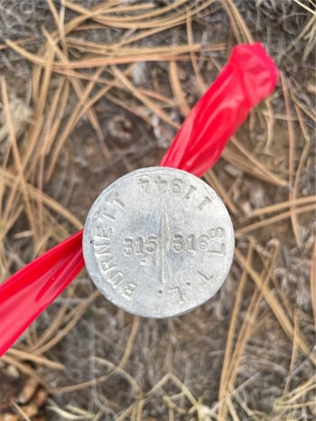 415 Olympic Cir, Hartsel, CO 80449