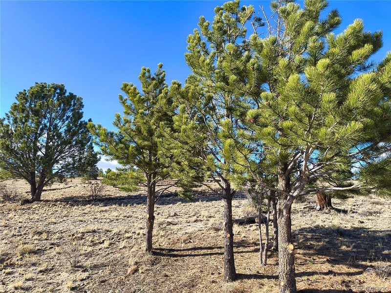 415 Olympic Cir, Hartsel, CO 80449