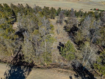 5302 Middle Fork Vi, Fairplay, CO 80440