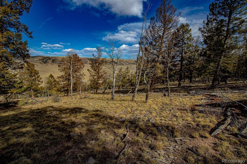5302 Middle Fork Vi Lot 527, Fairplay, CO 80440