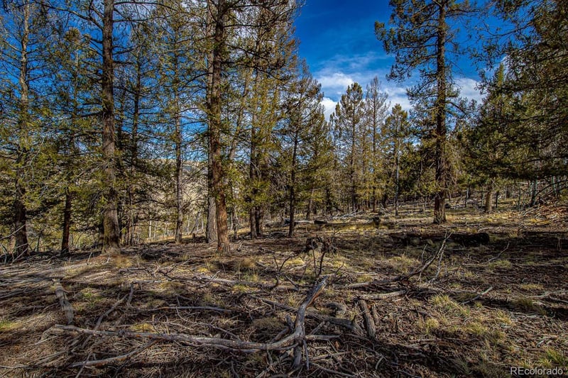 5302 Middle Fork Vi Lot 527, Fairplay, CO 80440