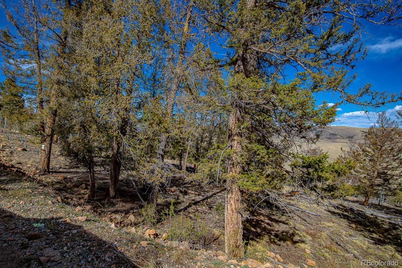5302 Middle Fork Vi Lot 527, Fairplay, CO 80440