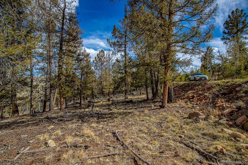 5302 Middle Fork Vi Lot 527, Fairplay, CO 80440