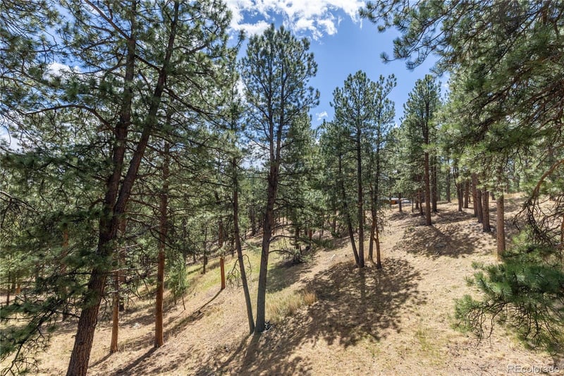 302 Cottonwood Dr, Evergreen, CO 80439