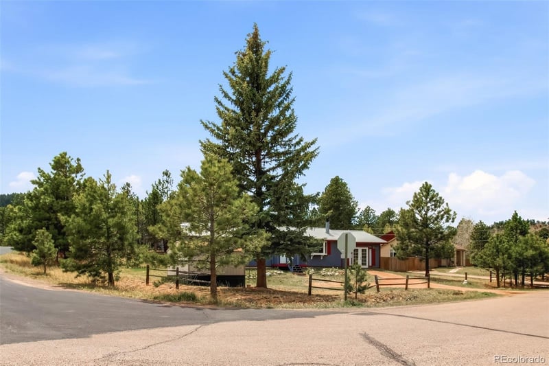 1217 Michael Ln, Woodland Park, CO 80863