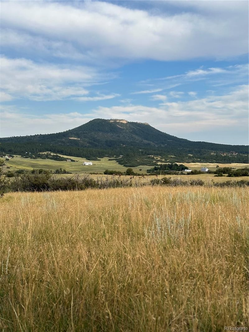 5250 Tall Horse Trl, Sedalia, CO 80135
