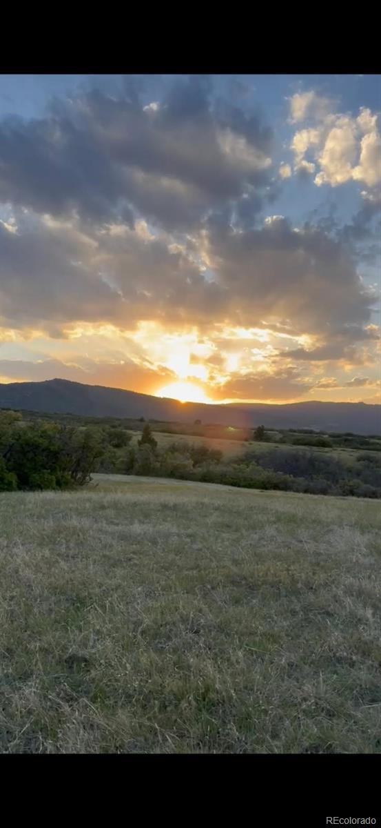 5250 Tall Horse Trl, Sedalia, CO 80135