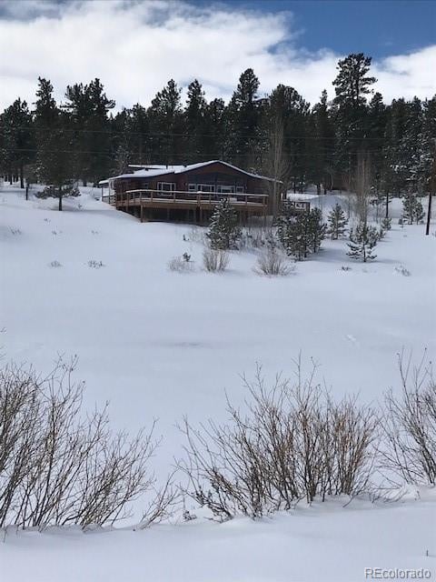 124 Prospectors Way, Bailey, CO 80421