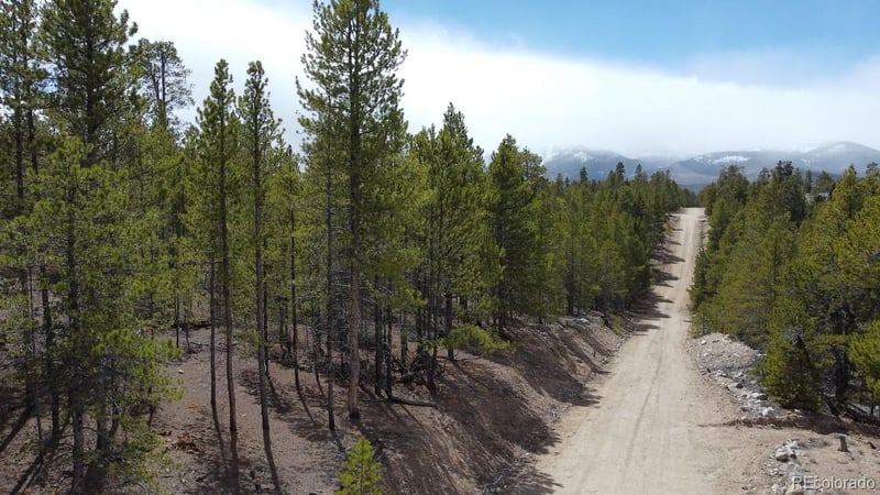 104 Spruce Dr, Twin Lakes, CO 81251