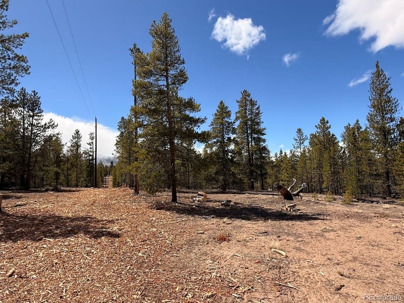 104 Spruce Dr, Twin Lakes, CO 81251