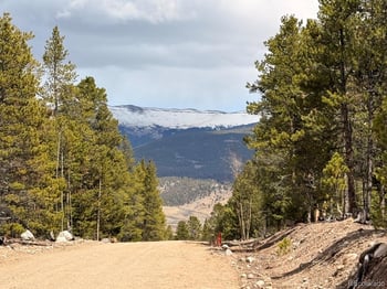 104 Spruce Dr, Twin Lakes, CO 81251