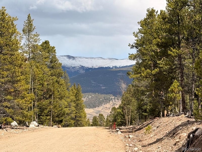 104 Spruce Dr, Twin Lakes, CO 81251