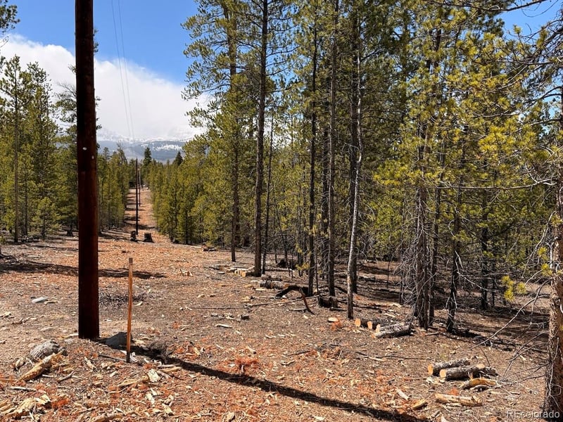 104 Spruce Dr, Twin Lakes, CO 81251