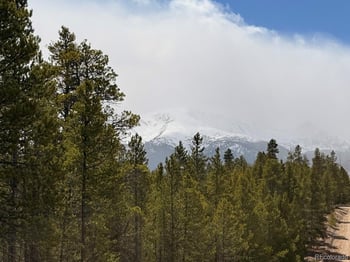 104 Spruce Dr, Twin Lakes, CO 81251