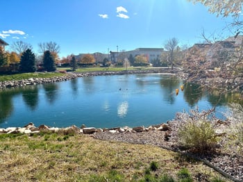 4835 Hahns Peak Dr #203, Loveland, CO 80538