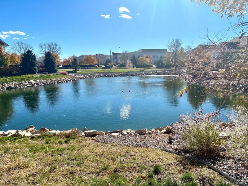 4835 Hahns Peak Dr #203, Loveland, CO 80538