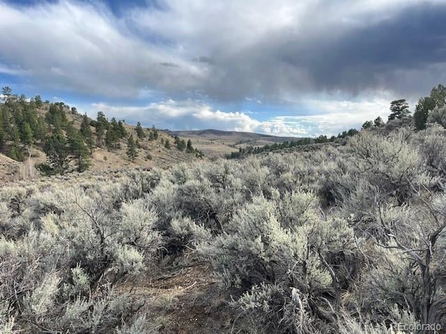 Lot 166 Griffiths Dr, Fort Garland, CO 81133